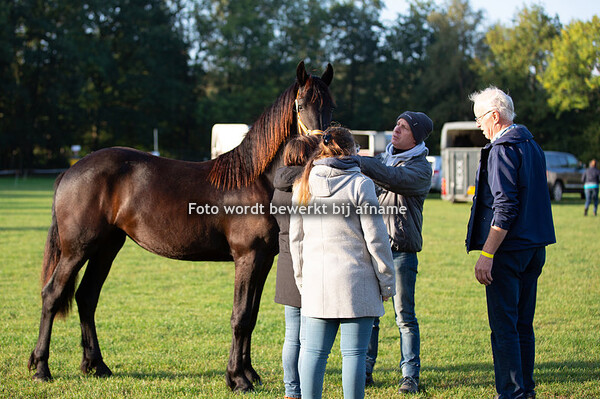 31. Jitske van 't Friezenhof