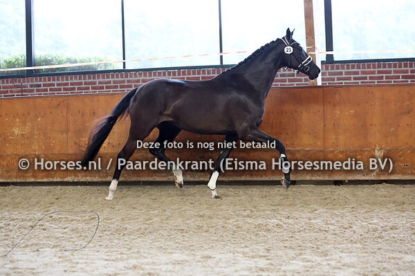 23 Sky L (Jameson RS2 x Gyro Radin v. Wynton)