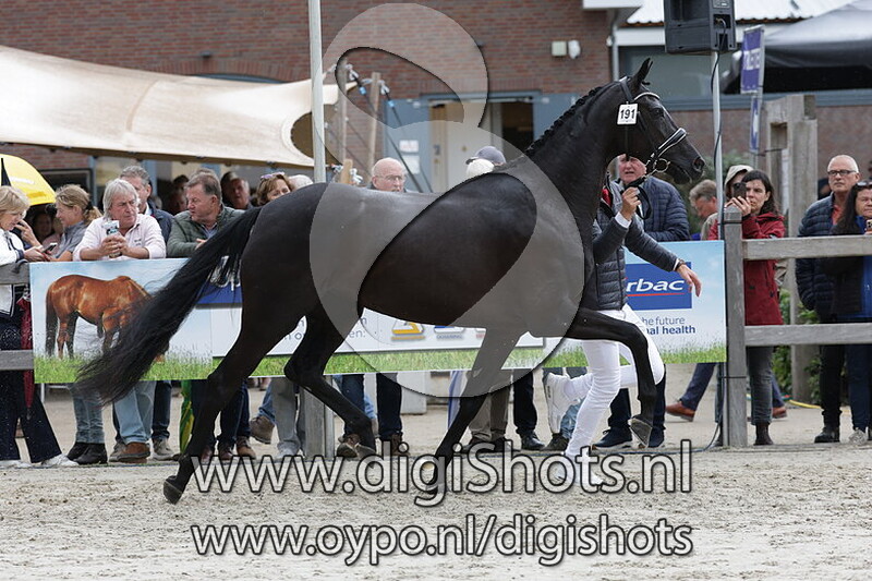 Sonaya Turfhorst v. MSJ Q