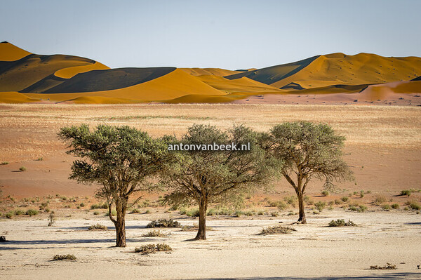 Sesriem, Deadvlei | Namibie
