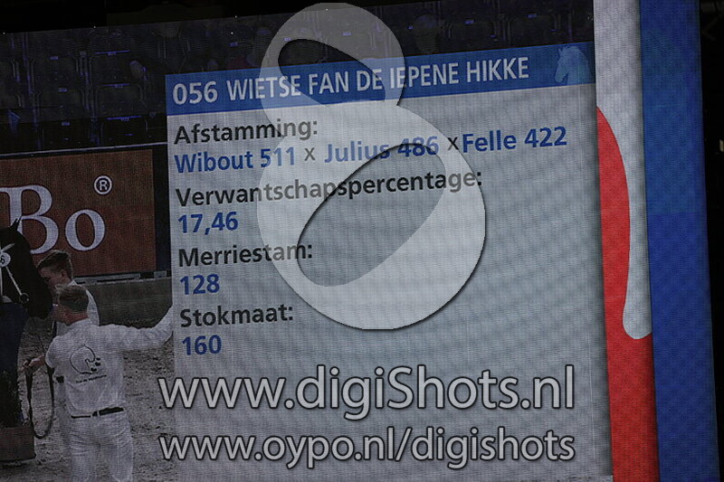 Wietse fan de Iepene Hikke