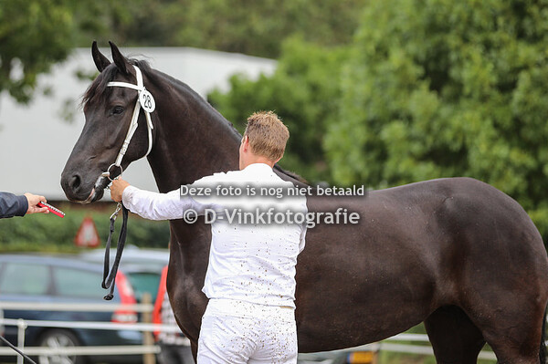 28. Hennie van de Marne