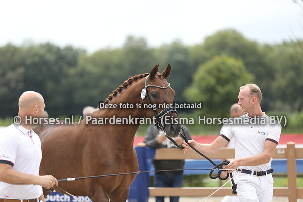 13-07-24 CK Brabant dressuur