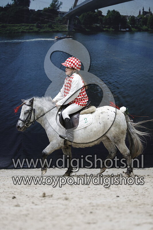 Shetlander Mini Steeple