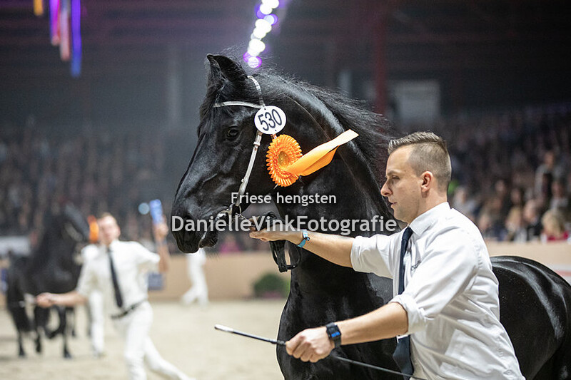 Hengstenkeuring 2023 Hielke 530