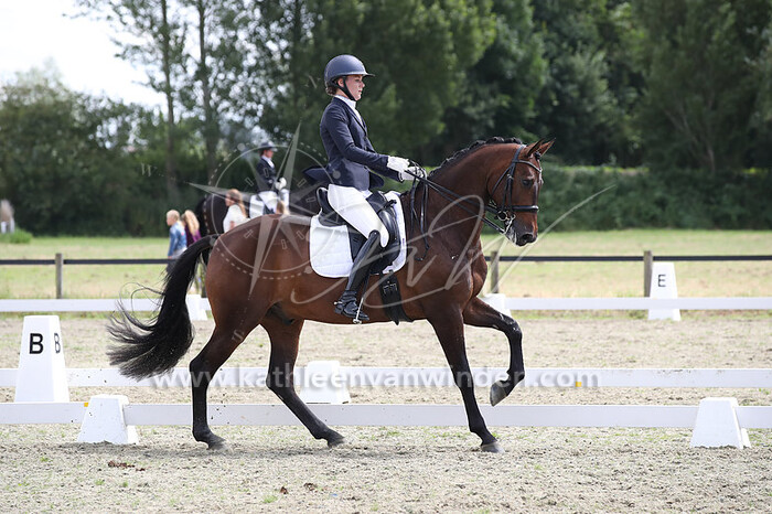 Sanne van der Giessen