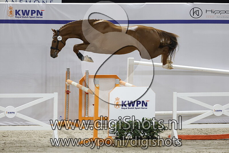 Optimist ES v. Herakles