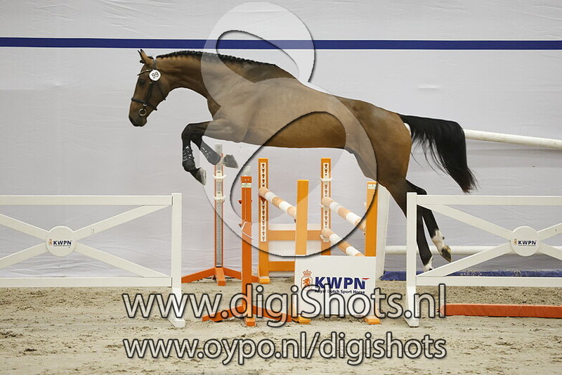 Sikorsky Go v. Jacquet Go