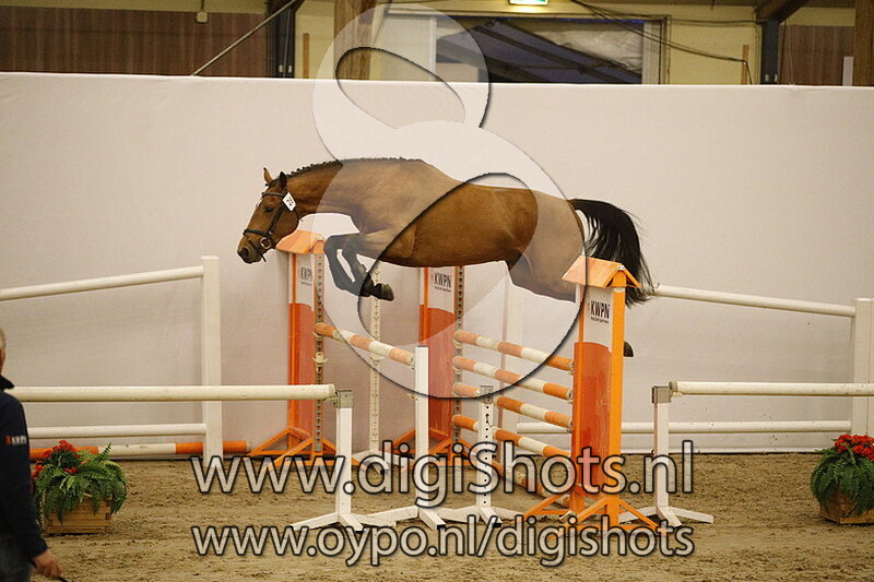 028 Let's Go Easy v. Chaman