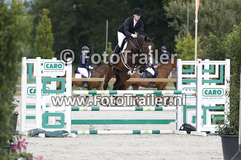 rosanne van der linde