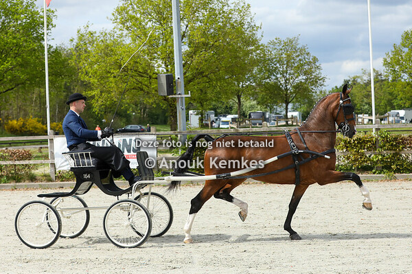 Nationaal - Youngriders 
