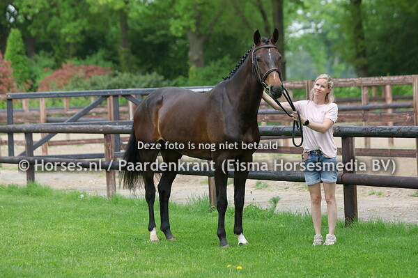 26 Rivka (Cero Blue TN x Mavis v., Lamm de fetan