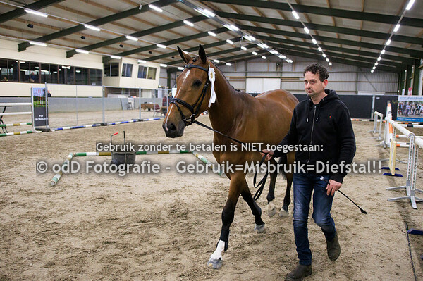 Vrijspringen Competitie Panningen, 4 jarigen,  28-04-23