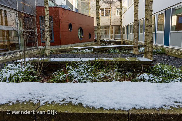 MCL - tuinen winkelstraat