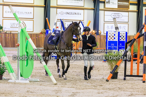 jumping indoor leunen paard 130cm 09-01-26