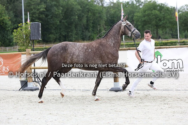 192 Sky High (Mattias x Air Holland v. Tolan)