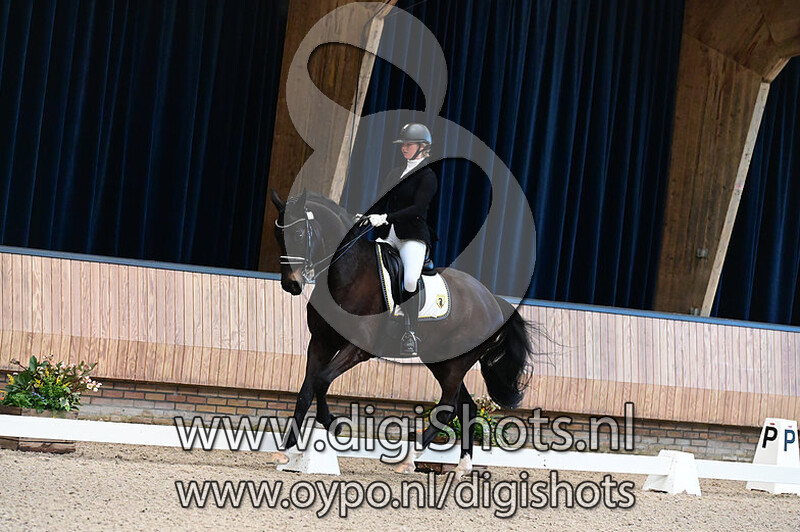 Limited Edition of Invictus