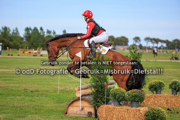 sgw geestmerambacht paarden b 06-09-25