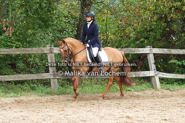 Dressuur eigen pony's