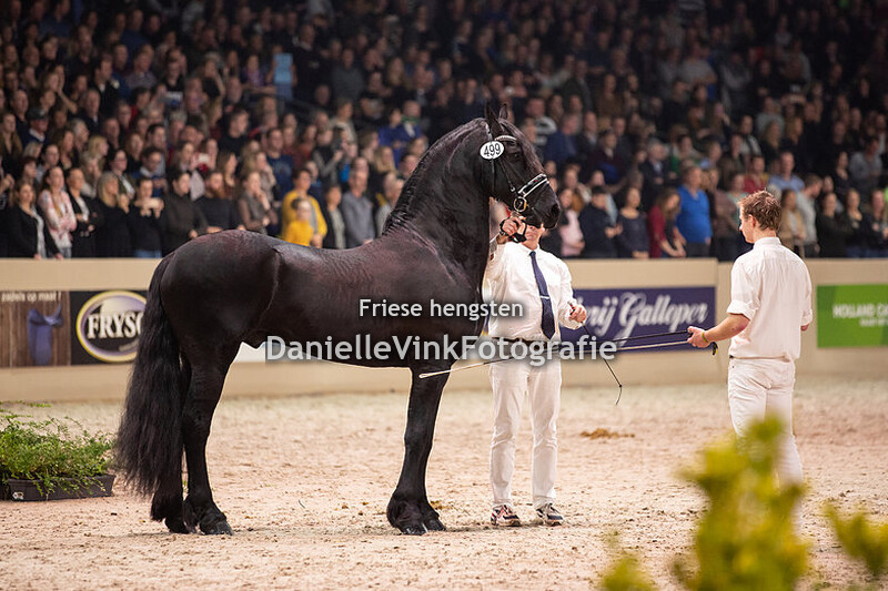 Hengstenkeuring 2020 Siert 499