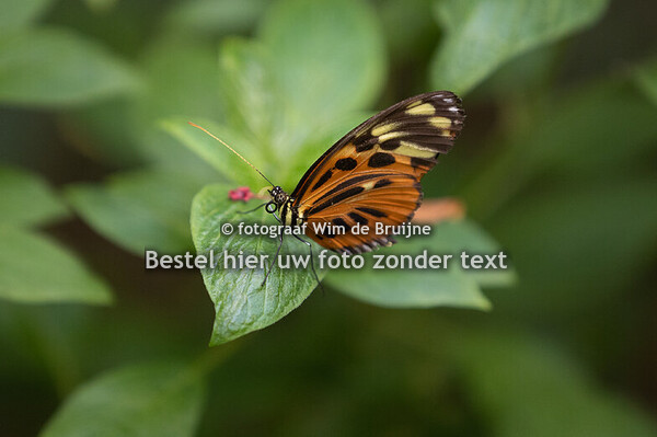 2025-10-30 bezoek aan vlindertuin 2025