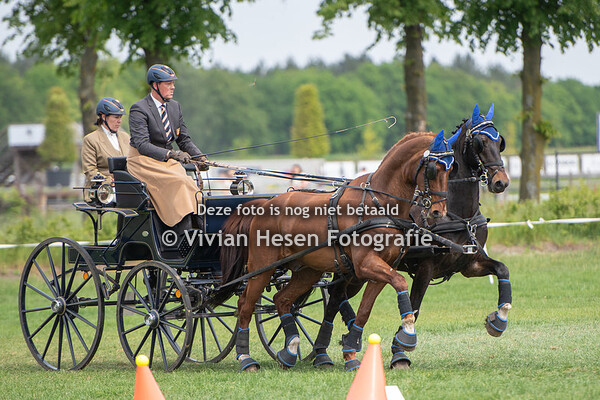 Horse Driving Kronenberg