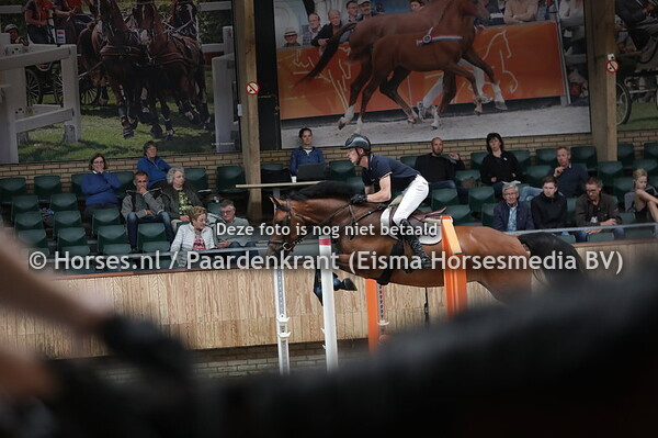 20 Miss Saigon Blanesca V (Glenfiddich VDL x VBLanesca Whitney v. Mermus R)