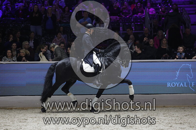 Presentatie Sport Elite Stamboekhengsten