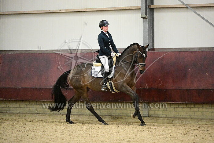 Lily Hoogendoorn - Sjarmante D