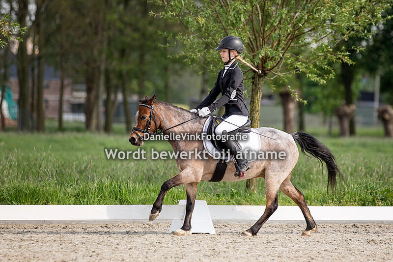 Ruiterweek Stal Alblas 2019