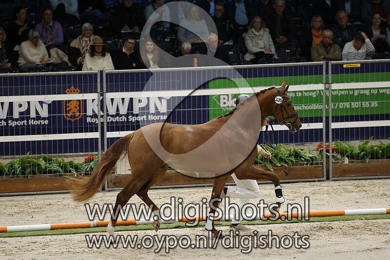 Renaissance Kd v. Dream Boy - 335