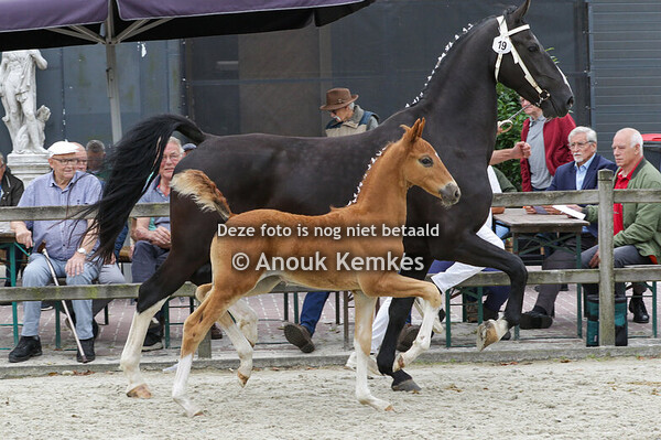 019 - URENOROSE W.S. CIZANDRO X EEBERT W. SIBMA, FOUDGUM