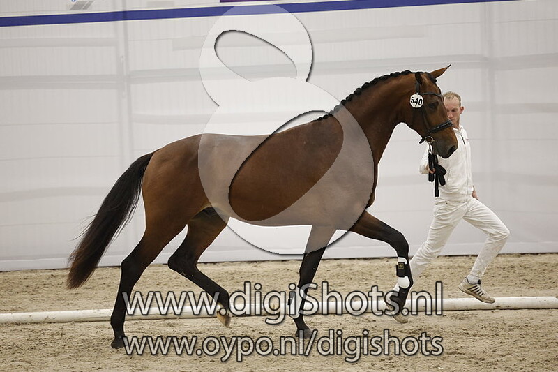 Pfidar v. Vaderland - 540