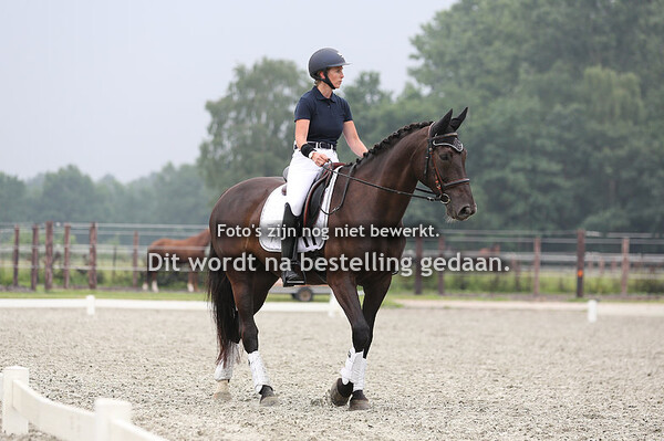 Gepaard met een lach Roos Dyson