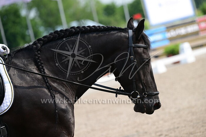 Kevin de Roos - Janneke A