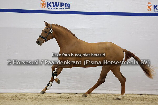 342 (Escanto PS x Vitalis)