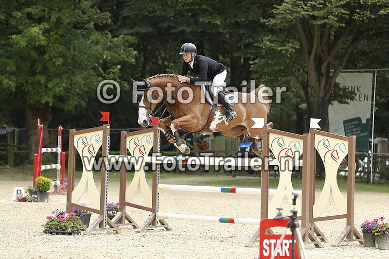 dennis van den brink