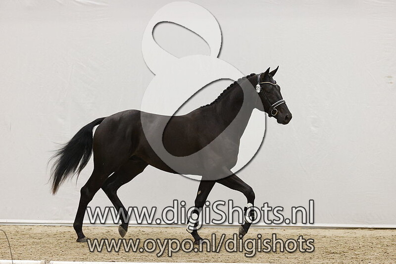 No Nonsense K v. Just Wimphof