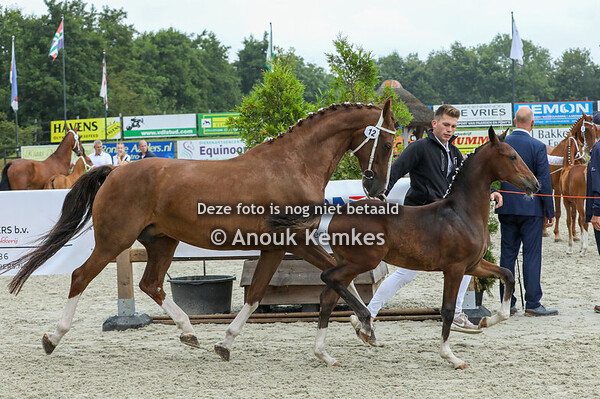 12 - Vayline ( Olympus HS x Eebert ) 