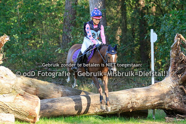 SGW Bollert Brons, Gelselaar 14-09-19
