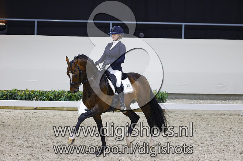 King van het Haarbosch