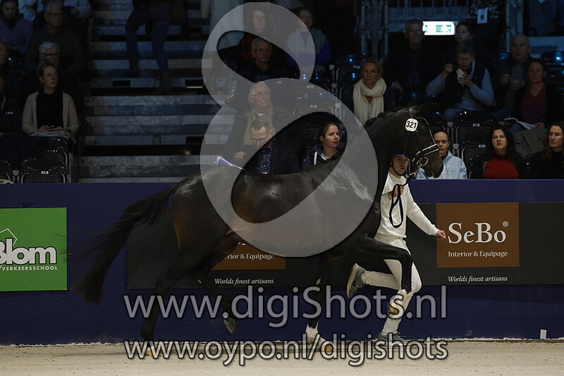 Nn v. Dancier Gold - 321