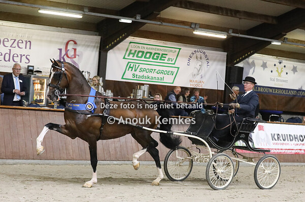 TP Finale nieuwelingen Hengsten/Ruinen