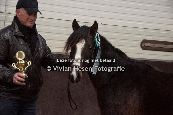 Welsh Winter Youngstock Show