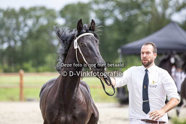 38. Marlyse W van de Sprong