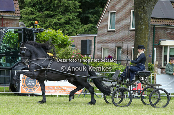 Friezen Limiet Groep 2