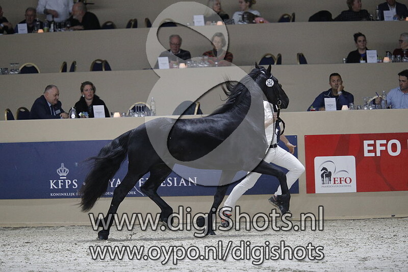 Dedmer fan de Greidpleats