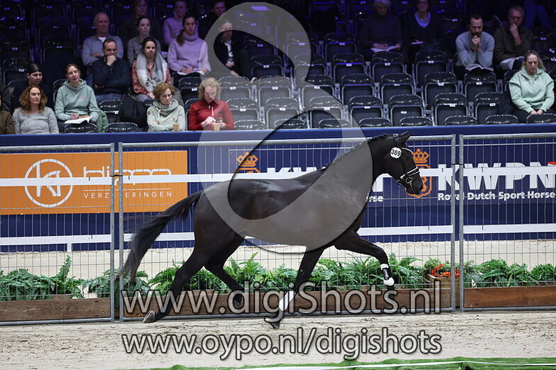 Seven Sunday v. Glamourdale