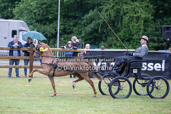 04. Eenspannen Hackney's kleine maat