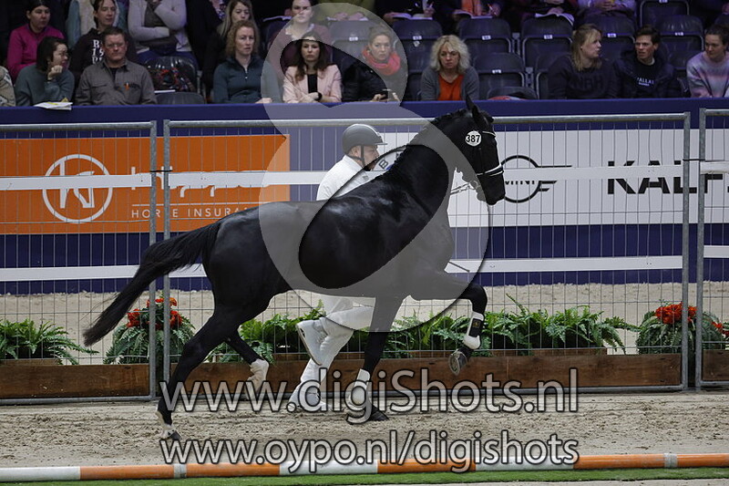 Pharrell v. Glock's Toto Jr 387